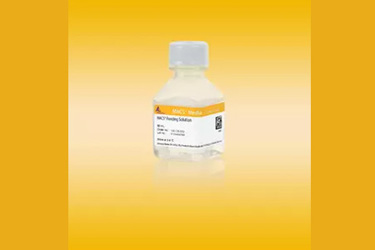 MACS Freezing Solution