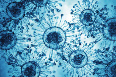 GettyImages-1944379143-virus-cells-blue GettyImages-1944379143-virus-cells-blue