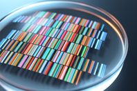 Petri dishes with samples for DNA sequencing GettyImages-950425808