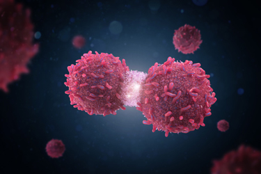 3d rendering red cancer cell divide or spread out-iStock-1263254298