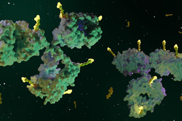 Antibody drug conjugates ADCs GettyImages-1715913285