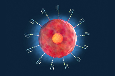 GettyImages-1940272045 CAR T-Cell, cell therapy