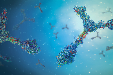 Multicolored antibodies immunoglobulin protein structures-GettyImages-1301300910