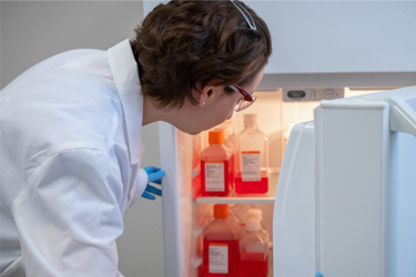 Corning - refridgerator