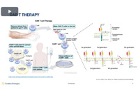 Cell Microenvironment And Cell Culture Media Are Key Elements For An Improved CAR-T Therapy