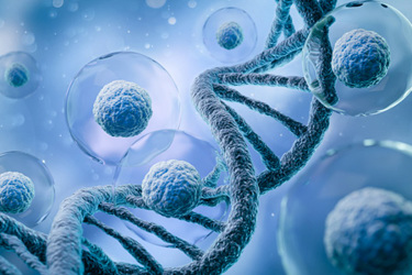 GettyImages-1439447135-stem-cell-dna