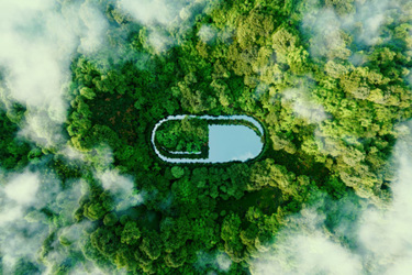 GettyImages-1346739457-environmental-sustainability-pill-tablet-capsule-OSD-green