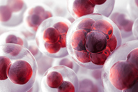 Cells-GettyImages-155444541