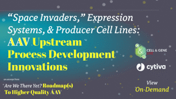 23_11_CGL_AAV_Webinar_Seg05