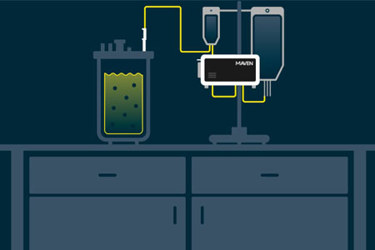 Maven image 1 (feature)