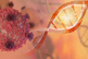 DNA strand-Cancer Cell-GettyImages-696241984