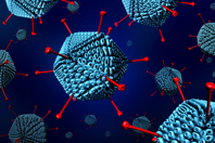 GettyImages-1061027852-adenovirus