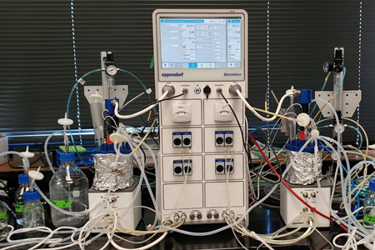 Eppendorf MSC exosome production using the SciVario twin bioreactor