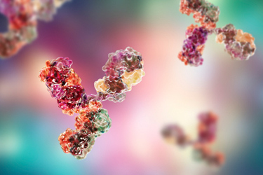 GettyImages-1133973940-immunoglobulin-cell-culture-antibody