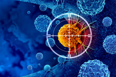 GettyImages-1477214805-cancer-cell-targeted