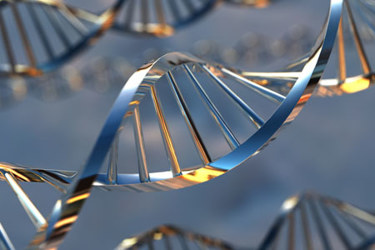 DNA-Strands-GettyImages-157282565