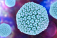 GettyImages-597972428-adenovirus