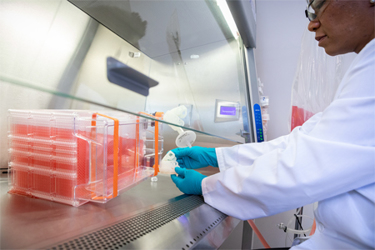 CorningLifeStyle Hood