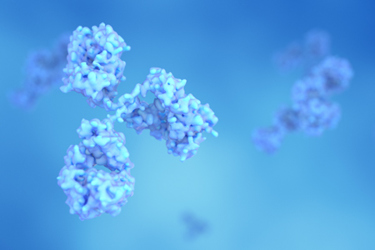 Antibodies And Proteins GettyImages-1364886992 Antibodies And Proteins GettyImages-1364886992