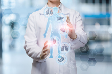 Organs-body-organoid-study-GettyImages-1157550305