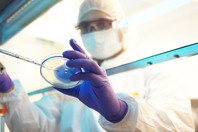 GettyImages-517743436-plasmid-dna-development-lab