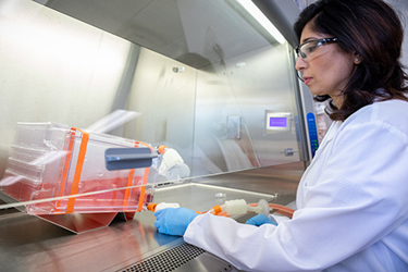 CorningLifeStyle_Hood_HYPERStack_8_17_21-7497 450x300