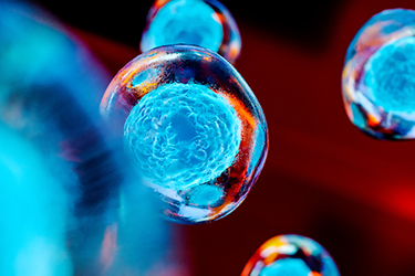 Embryonic Stem Cells GettyImages-1135352068