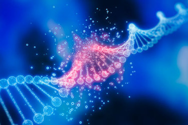 GettyImages-1407359737-dna-strand-gene-therapy GettyImages-1407359737-dna-strand-gene-therapy