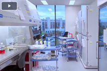 Get To Know WuXi Advanced Therapies Testing Services