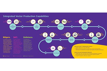 MS_BR3311EN VVT Trifold V1.0_Page_450x300