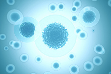 Cells iStock-1314561843