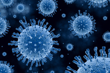 Virus GettyImages-154955697