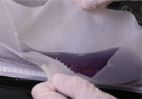 microcarrier cell separation bag