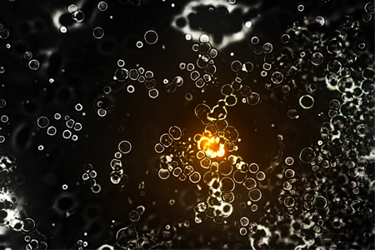 GettyImages-1290838538-cell-cell therapy - cell division