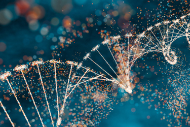 DNA molecule-GettyImages-2148124383