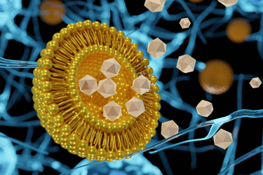 GettyImages-1410189348