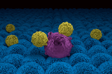 Car T cells attacking cancer cells-GettyImages-1171781191