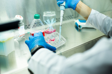 GettyImages-1459937763 cell culture lab