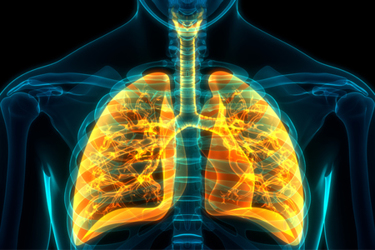 iStock-1191189866-lung-inhalation-skeleton-respiratory iStock-1191189866-lung-inhalation-skeleton-respiratory