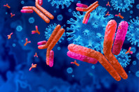 GettyImages-1358868801 antibodies