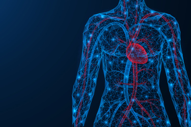 GettyImages-1354064071-cardiovascular GettyImages-1354064071-cardiovascular