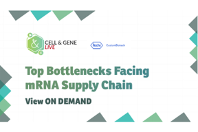 24_09_cgl_1280x720_seg01