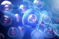 iStock-1159995989-cell-gene-map