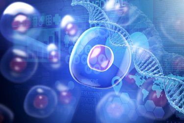 iStock-1159995989-cell-gene-map