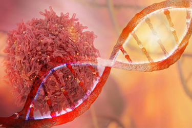 iStock-696241690-cell-gene