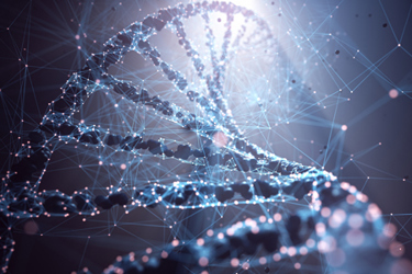 GettyImages-1310024666 DNA