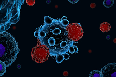 t cells attacking cancer cell iStock-894635270