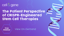 20_11_CG_CRISPRStemCellResearch_5_1920x1080
