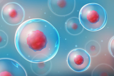 iStock-1290308780-cell