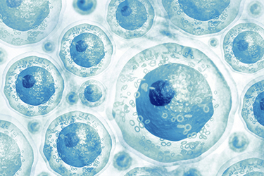Cells iStock-999018482